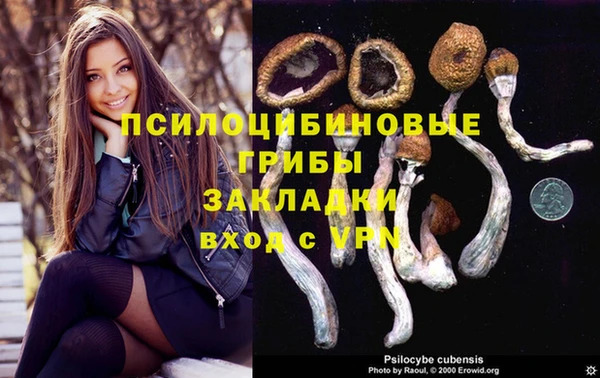 первитин Покачи