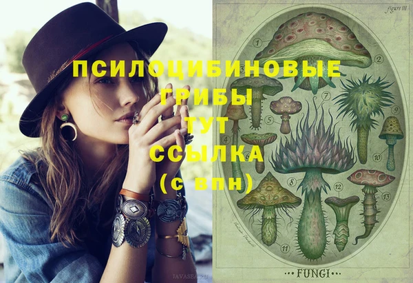 бутират Алексин