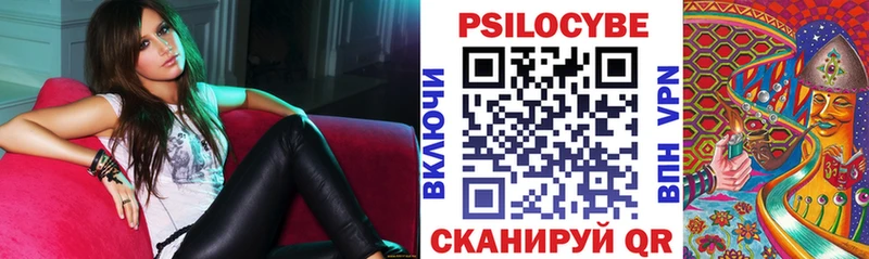 Галлюциногенные грибы Psilocybe  Западная Двина 